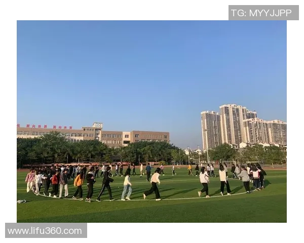 从零起步掌握足球战术的全面指南与实战技巧解析