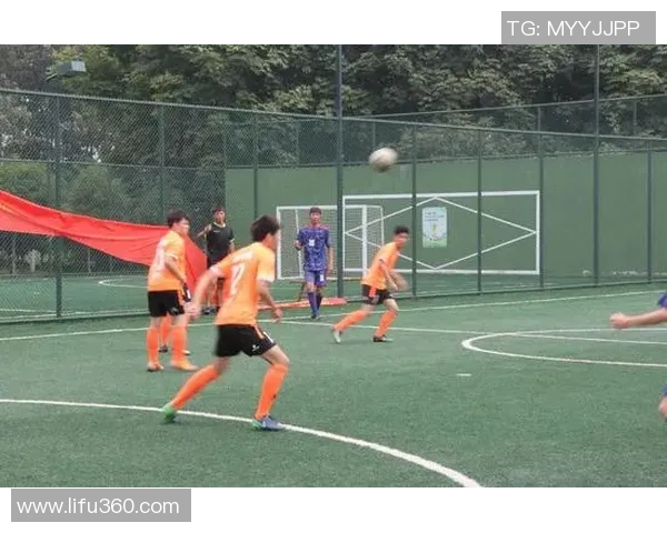 南京羽毛球队运营革新探索：从传统到现代的转型之路