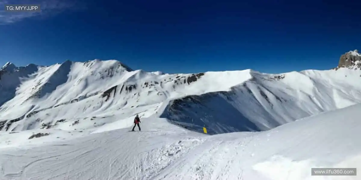 热血赛事,每一秒都值得尖叫!🔥